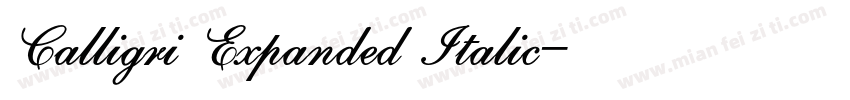 Calligri Expanded Italic字体转换